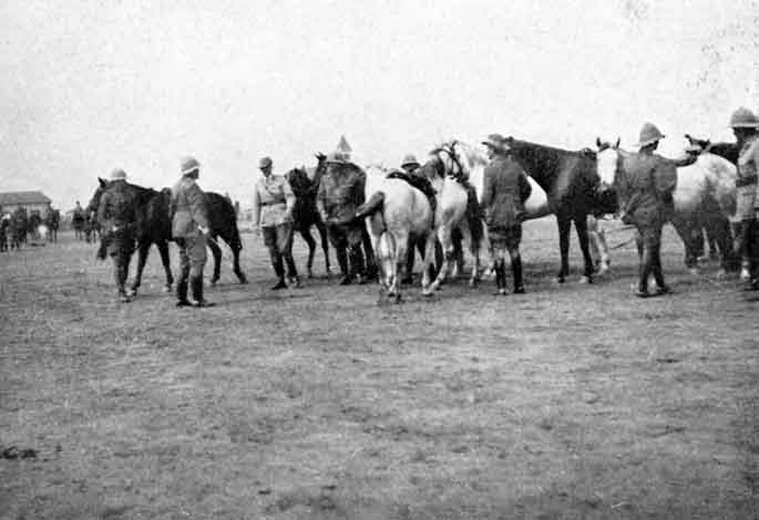 General Botha and Staff alighting for an Inspection.