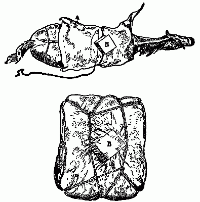 Illustrating How to Pack Eggs or Glassware.