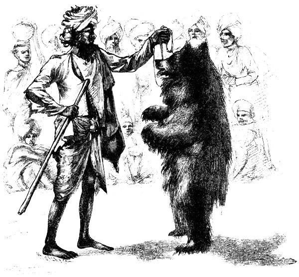 A BEAR LEADER