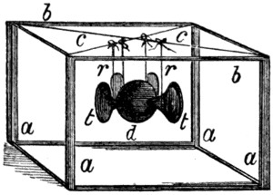 Construction of the 'Invisible Girl'