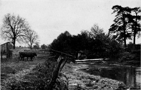 The vicinity where Mr. Howells lived his “Year in a
Log Cabin.” The cabin stood near the two pines